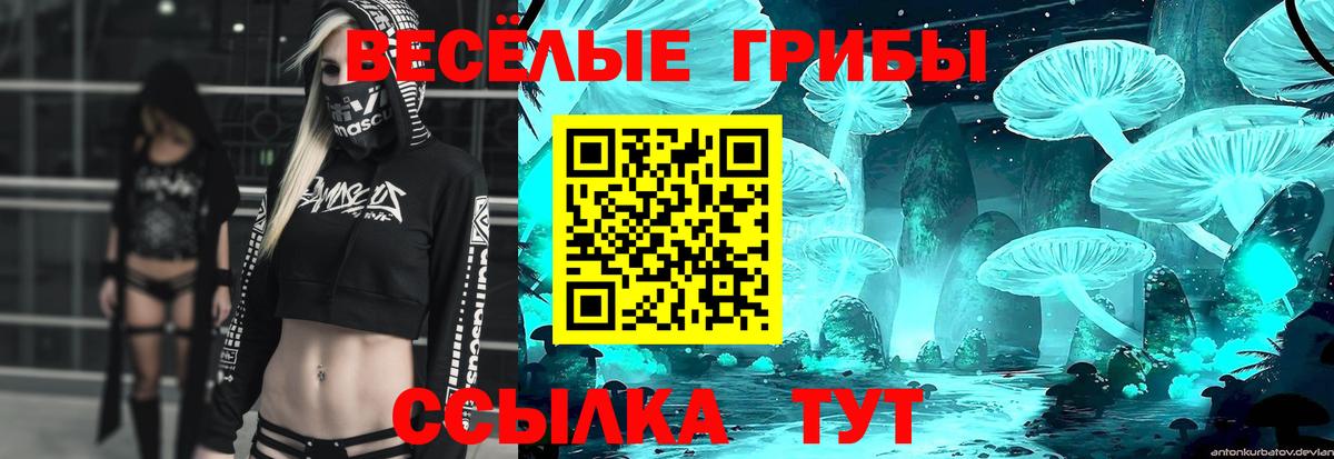 Галлюциногенные грибы прущие грибы Мыски